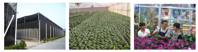 1536740368109429.png QQ截圖20180912161907.png