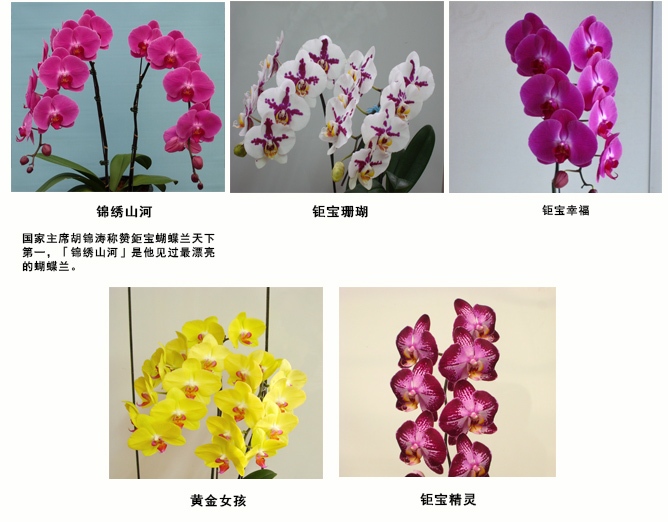 1536906783994034.jpg 4.jpg